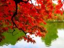 Stourhead