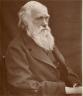 Darwin1878