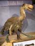 Terror Bird by Gary Staab