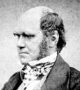 charles_darwin_aged_51 Credit: Wikipedia